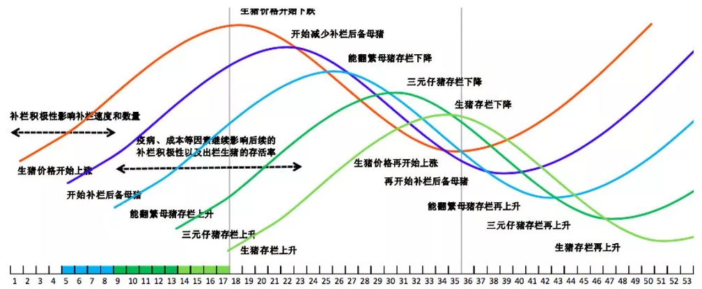 母猪存栏、仔猪存栏、生猪存栏随价格波动的滞后性.png