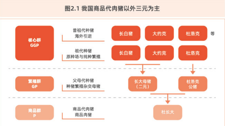 我国商品猪肉.png