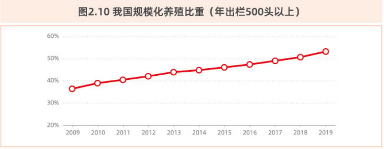 我国规模化养殖比重（年出栏500头以上）.png